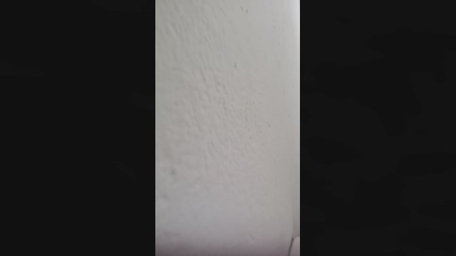 sweet_scarlett_  07-01-2022